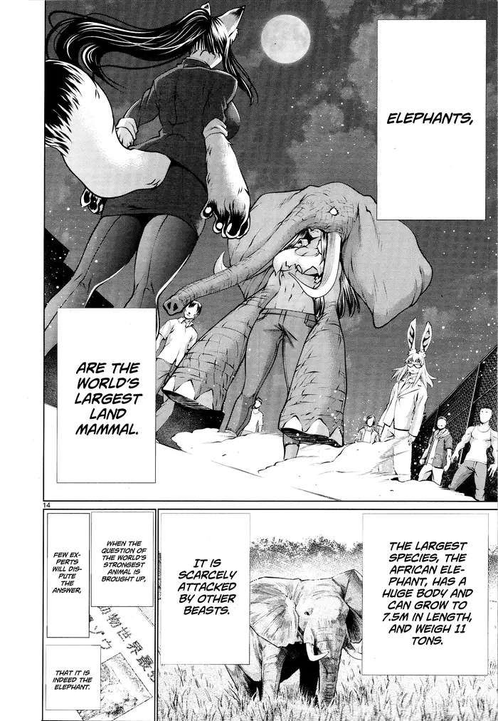 Killing Bites Chapter 73 image 12_optimized